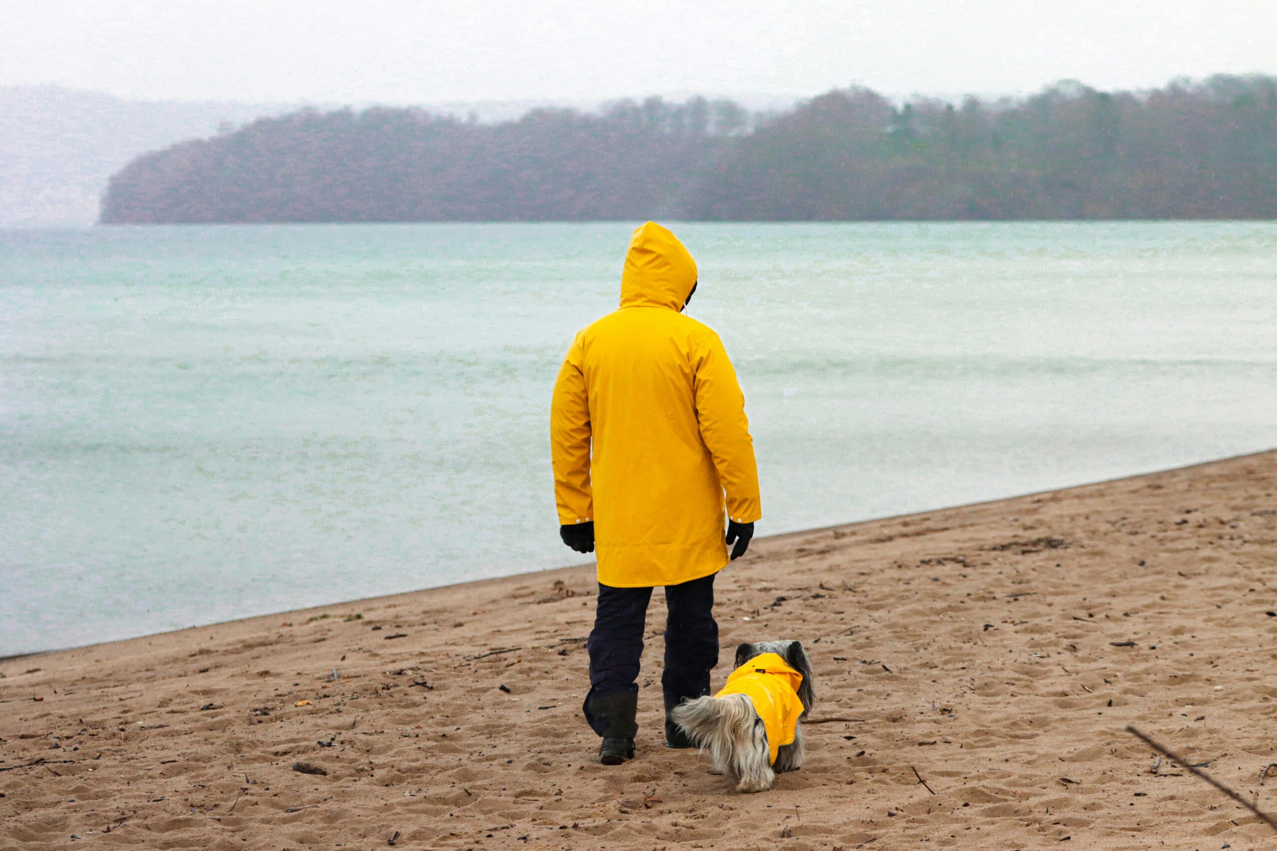 Ein Mann und sein Hund in passenden gelben Regenmänteln spazieren an einem Strand am Seeufer in Jönköping, Schweden.