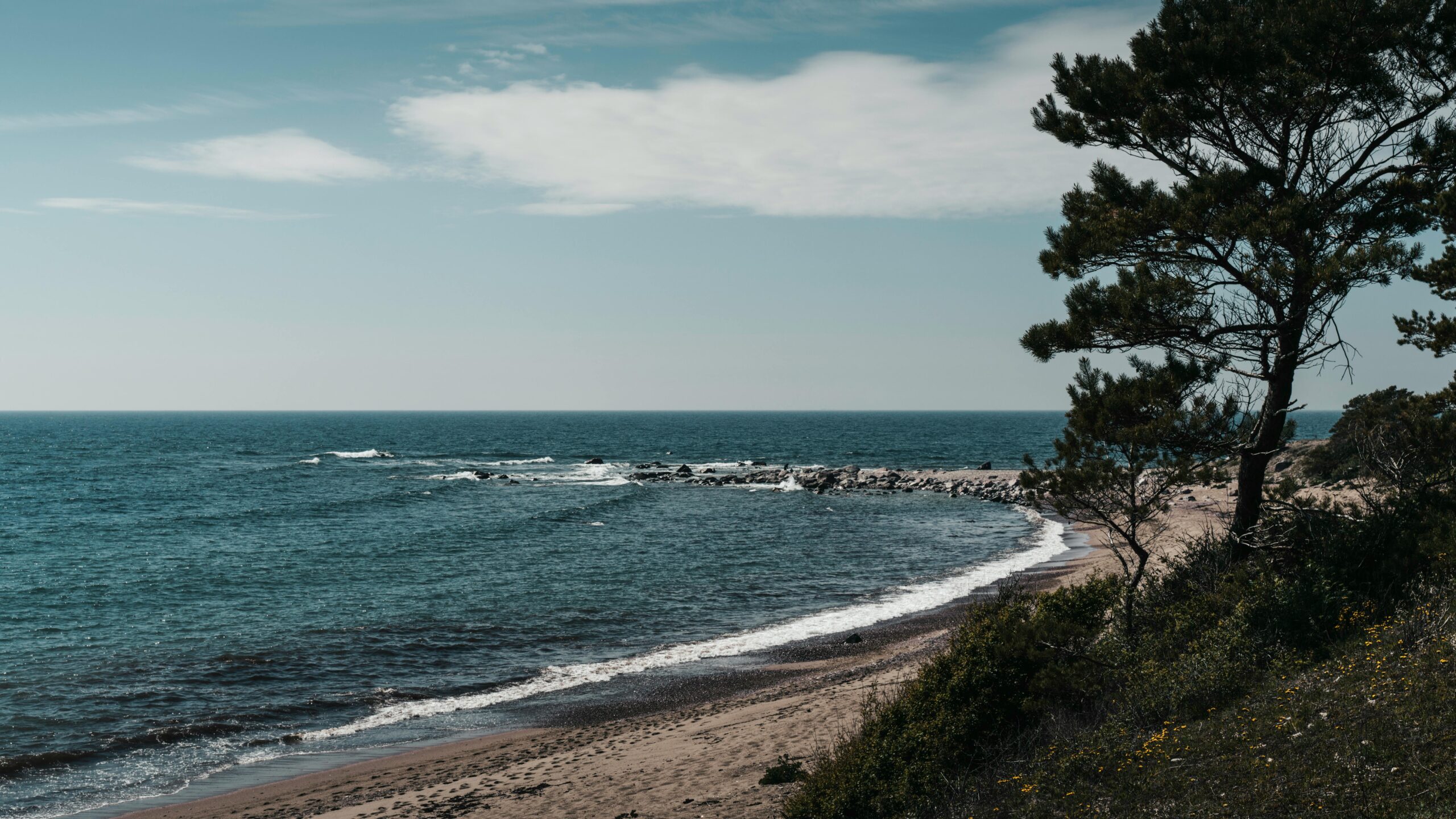 Ein ruhiger Blick auf den Sandstrand und das blaue Meer mit üppigem Grün auf der Insel Hiiumaa.