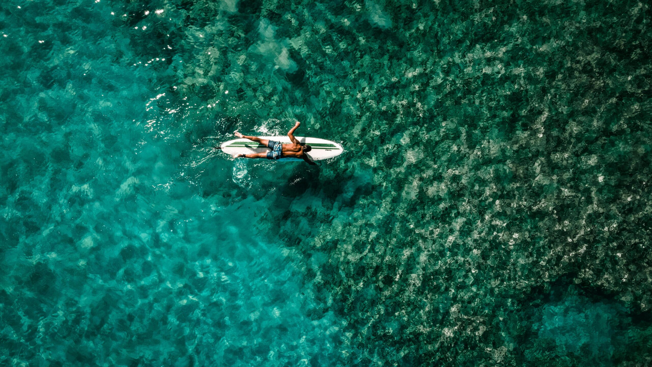 Anonymer Männlicher Athlet, Der Im Meer Schwimmend Auf Surfbrett Schwimmt