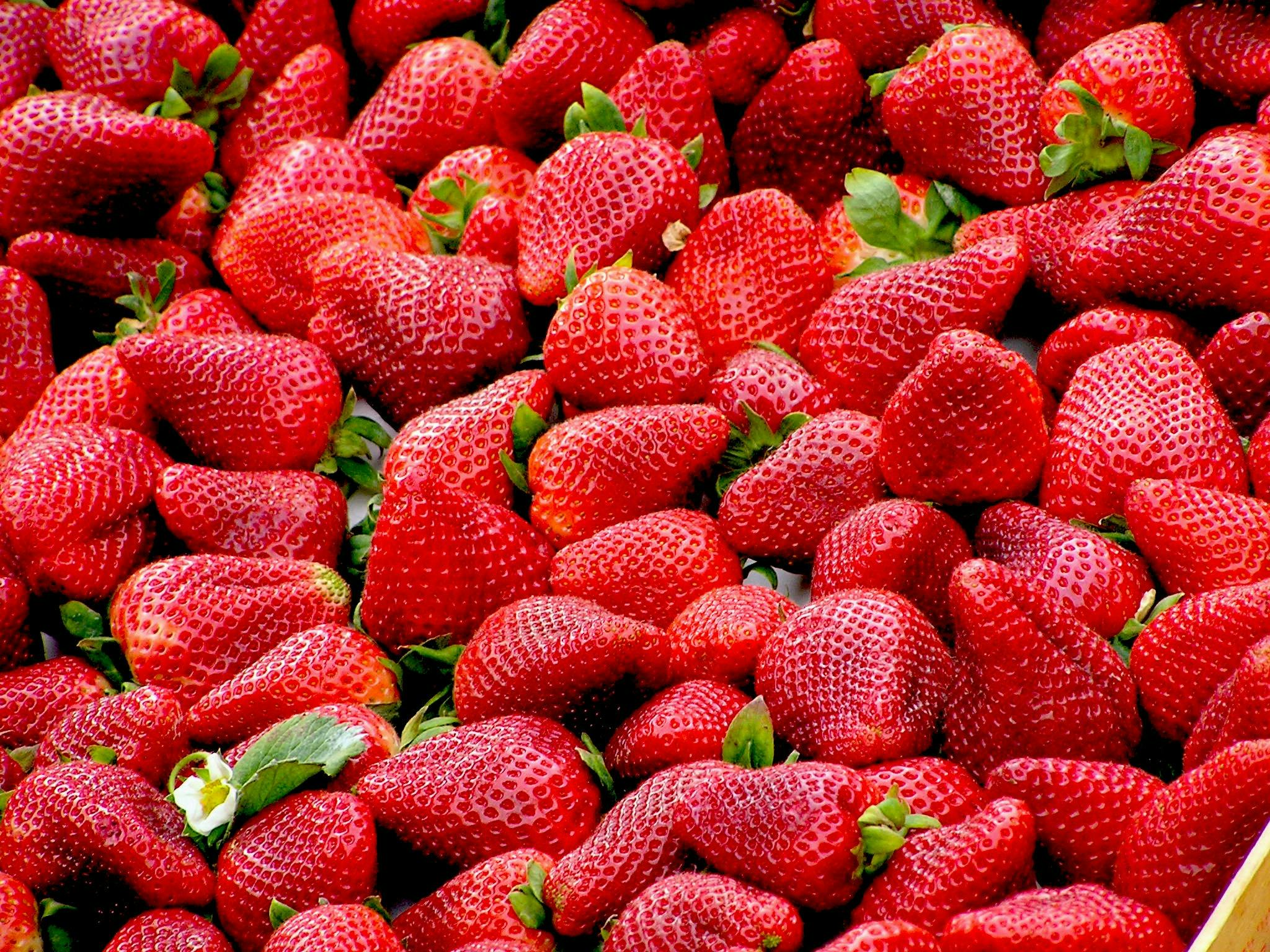 Rote Erdbeeren